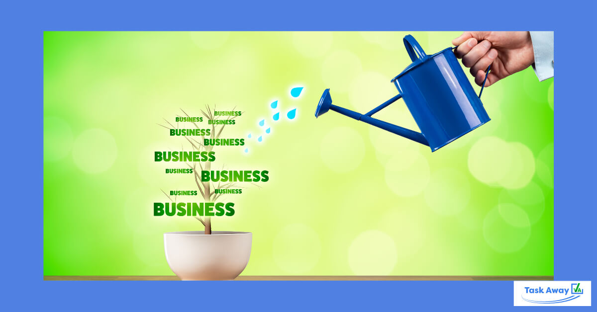 scale-business-with-virtual-assistant